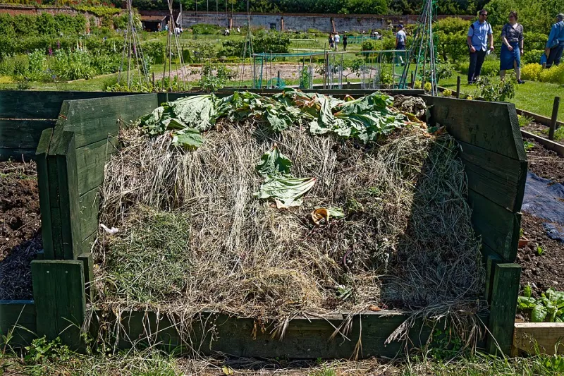 Six Months of Scraps: What My Compost Bucket Revealed About the Way America Shops
