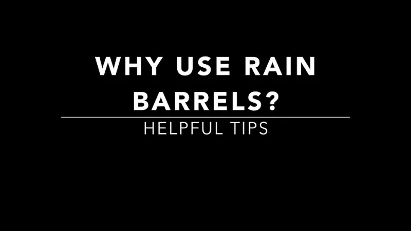 Your Downspout Is Sitting on a Payday: The Beginner's Guide to Free Rainwater